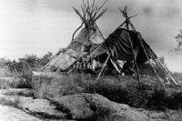 tipiskeletons